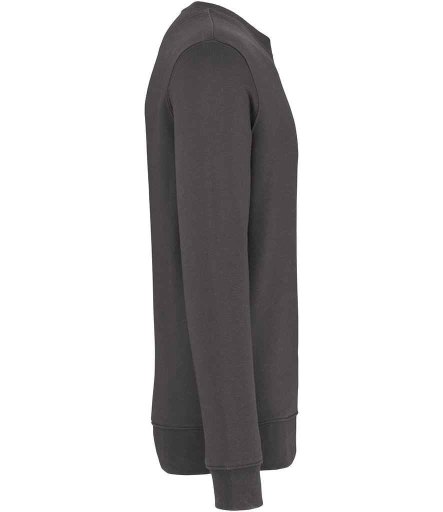 Native Spirit - Unisex Crew Neck Sweatshirt - Pierre Francis