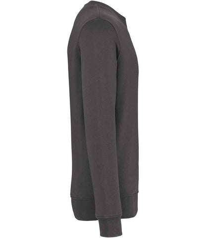 Native Spirit - Unisex Crew Neck Sweatshirt - Pierre Francis