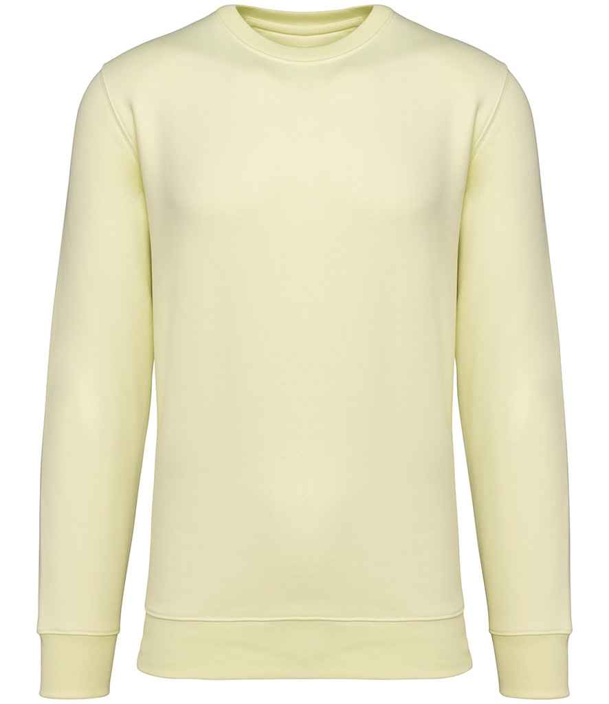 Native Spirit - Unisex Crew Neck Sweatshirt - Pierre Francis