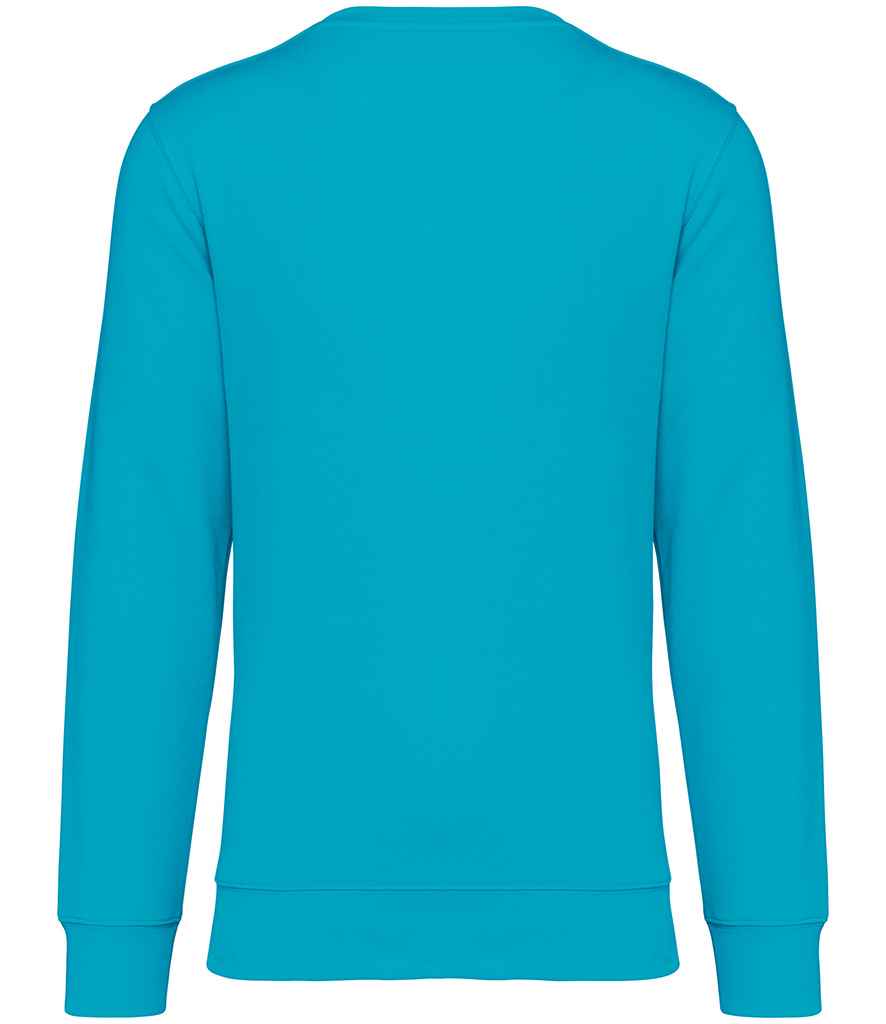 Native Spirit - Unisex Crew Neck Sweatshirt - Pierre Francis