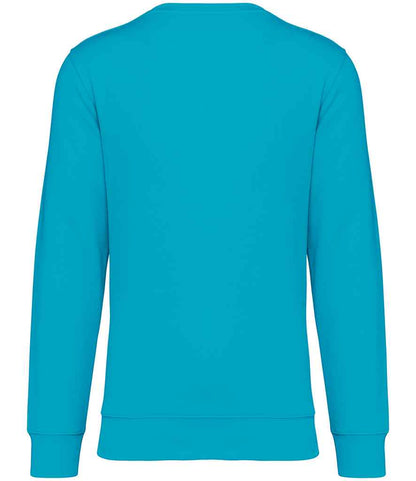 Native Spirit - Unisex Crew Neck Sweatshirt - Pierre Francis