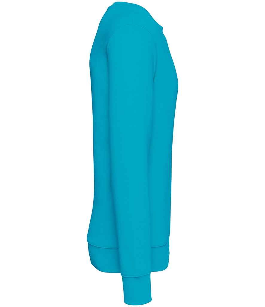 Native Spirit - Unisex Crew Neck Sweatshirt - Pierre Francis