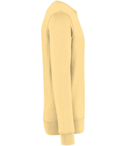 Native Spirit - Unisex Crew Neck Sweatshirt - Pierre Francis