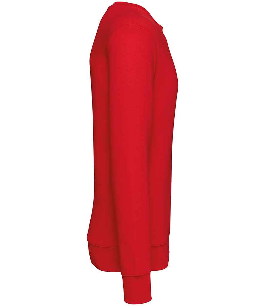 Native Spirit - Unisex Crew Neck Sweatshirt - Pierre Francis