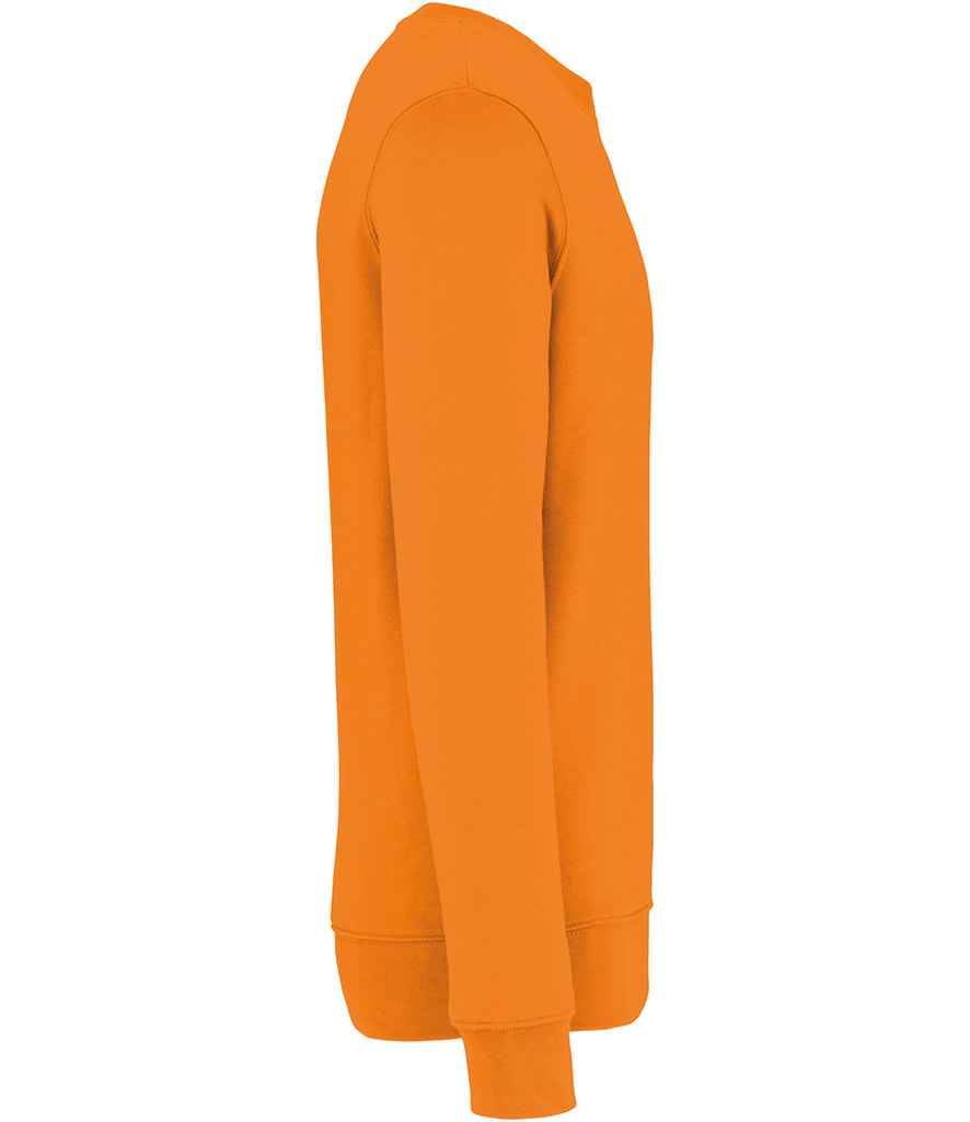 Native Spirit - Unisex Crew Neck Sweatshirt - Pierre Francis