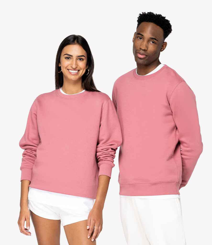 Native Spirit - Unisex Crew Neck Sweatshirt - Pierre Francis