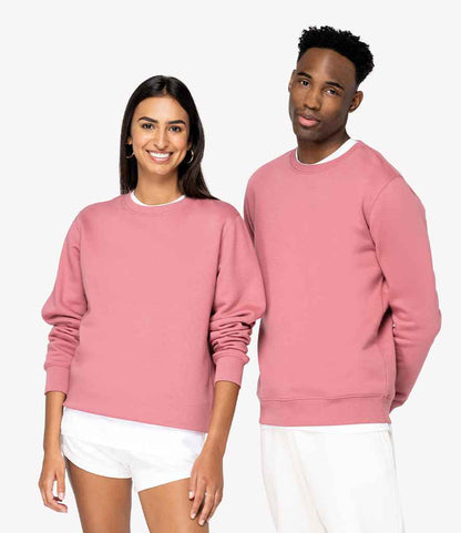 Native Spirit - Unisex Crew Neck Sweatshirt - Pierre Francis