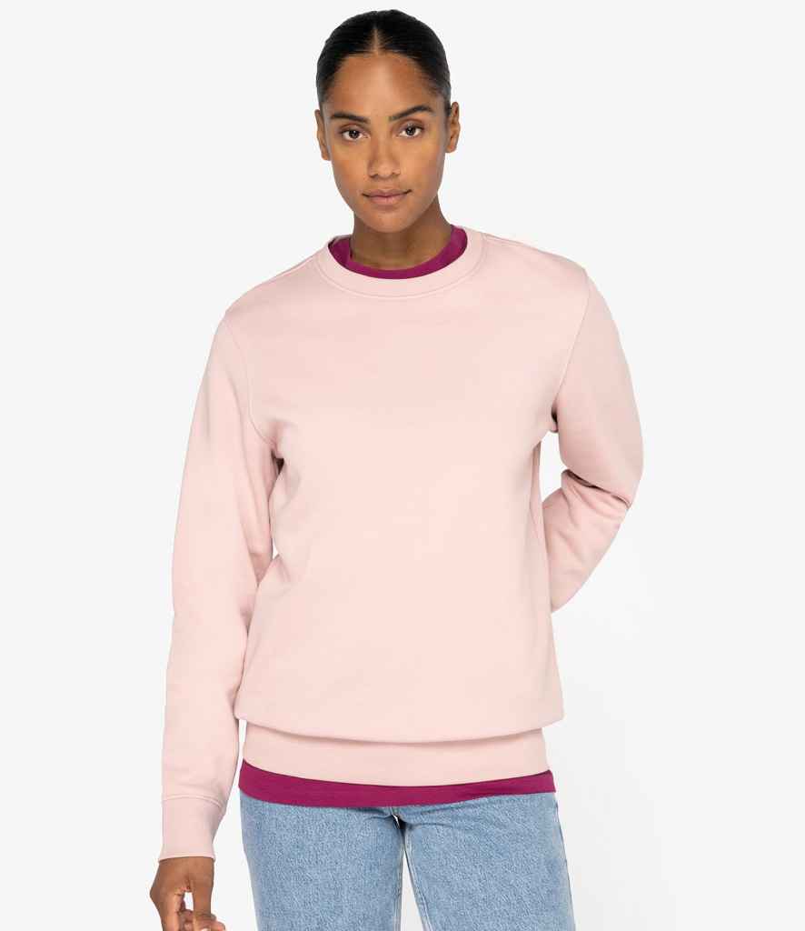 Native Spirit - Unisex Crew Neck Sweatshirt - Pierre Francis