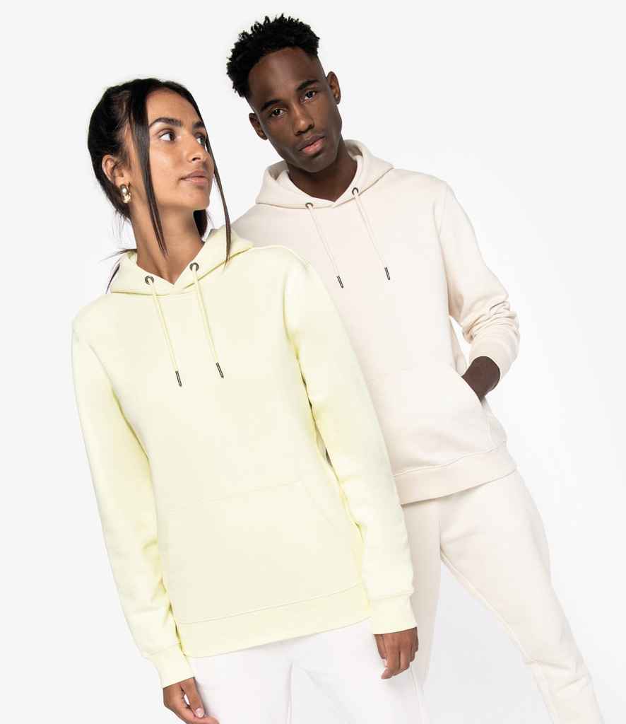 Native Spirit - Unisex Heavyweight Hooded Sweatshirt - Pierre Francis