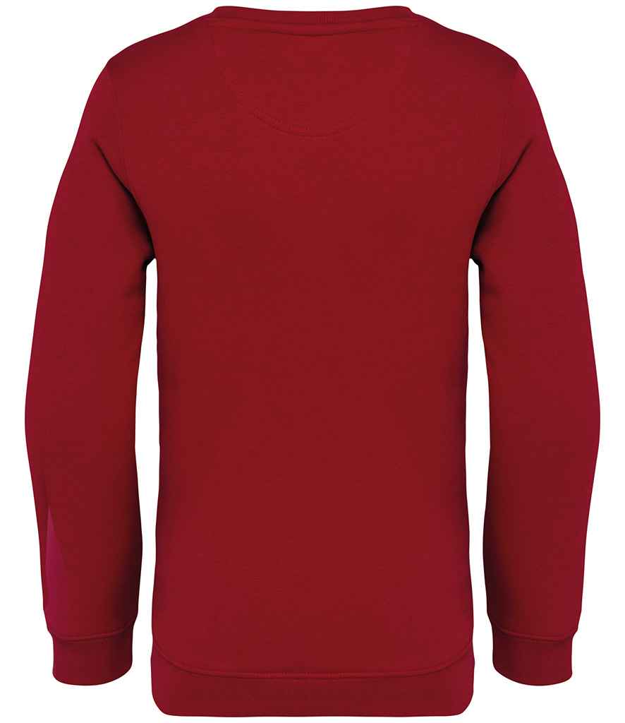 Native Spirit - Kids Crew Neck Sweatshirt - Pierre Francis