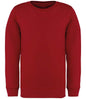 Native Spirit - Kids Crew Neck Sweatshirt - Pierre Francis