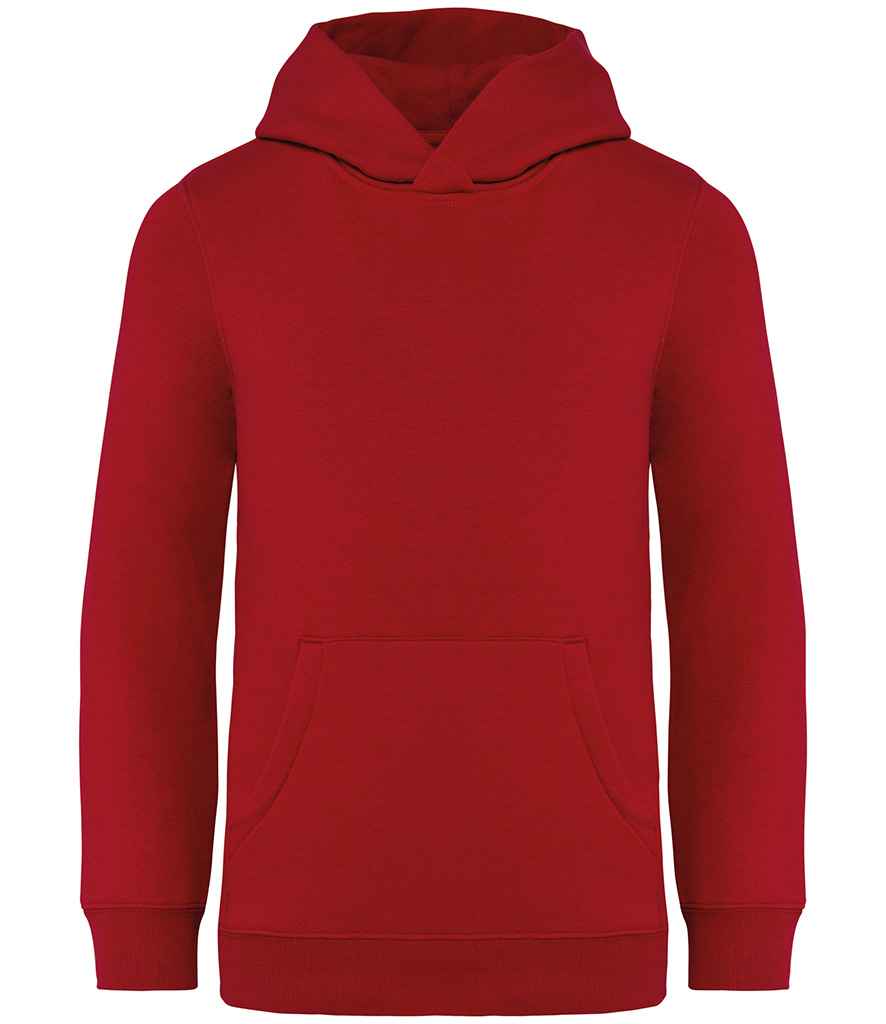 Native Spirit - Kids Hooded Sweatshirt - Pierre Francis