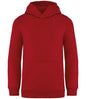 Native Spirit - Kids Hooded Sweatshirt - Pierre Francis