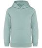 Native Spirit - Kids Hooded Sweatshirt - Pierre Francis