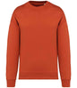 Native Spirit - Oversized Sweatshirt - Pierre Francis