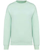 Native Spirit - Oversized Sweatshirt - Pierre Francis