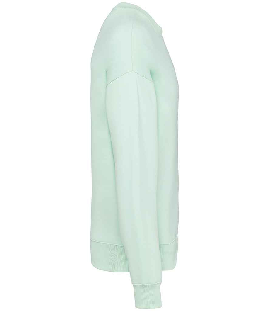 Native Spirit - Oversized Sweatshirt - Pierre Francis