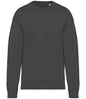 Native Spirit - Oversized Sweatshirt