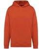 Native Spirit - Unisex Oversized Hoodie
