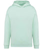 Native Spirit - Unisex Oversized Hoodie