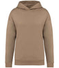Native Spirit - Unisex Oversized Hoodie - Pierre Francis