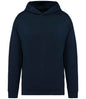 Native Spirit - Unisex Oversized Hoodie - Pierre Francis