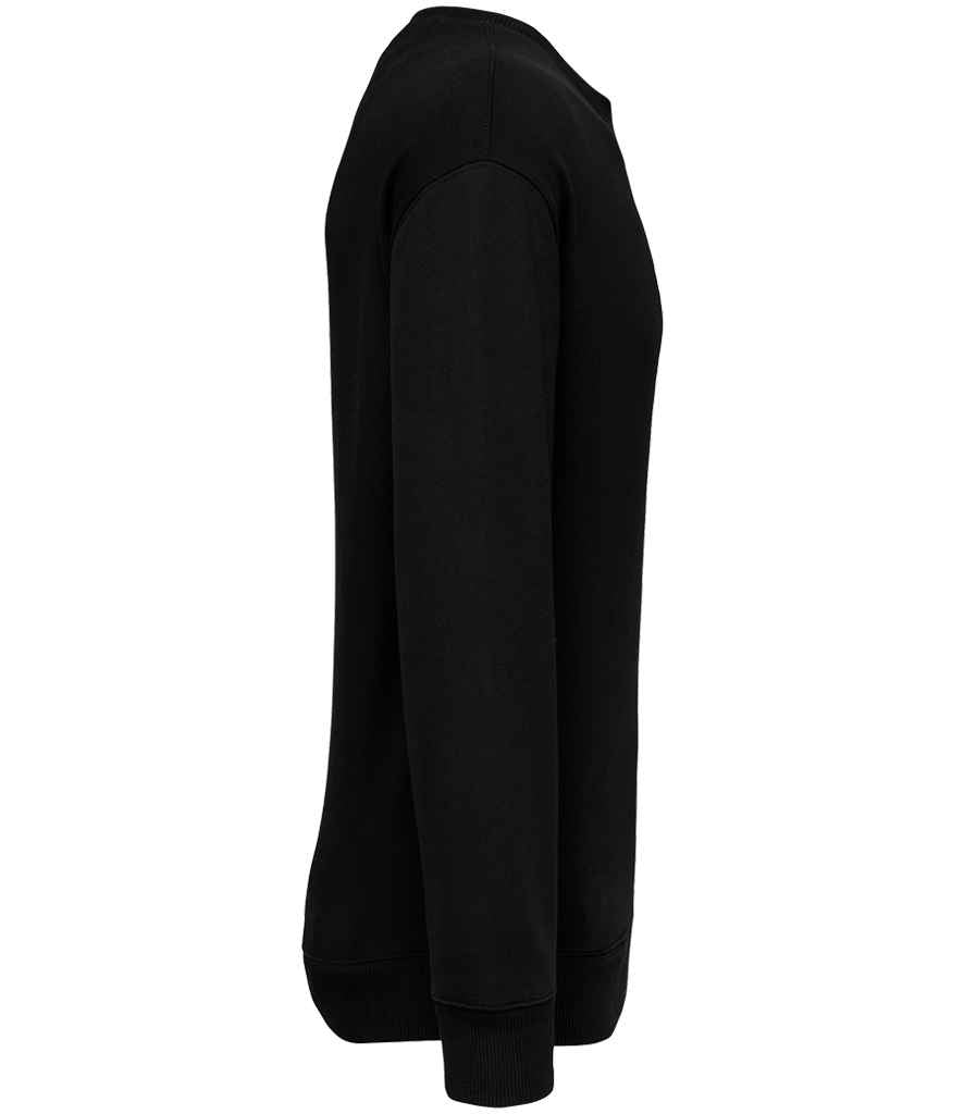 Native Spirit - Unisex French Terry Crew Neck Sweatshirt - Pierre Francis