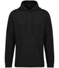 Native Spirit - Unisex French Terry Hoodie - Pierre Francis