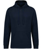 Native Spirit - Unisex French Terry Hoodie - Pierre Francis