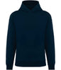 Native Spirit - Unisex Oversized Hooded Sweatshirt - Pierre Francis