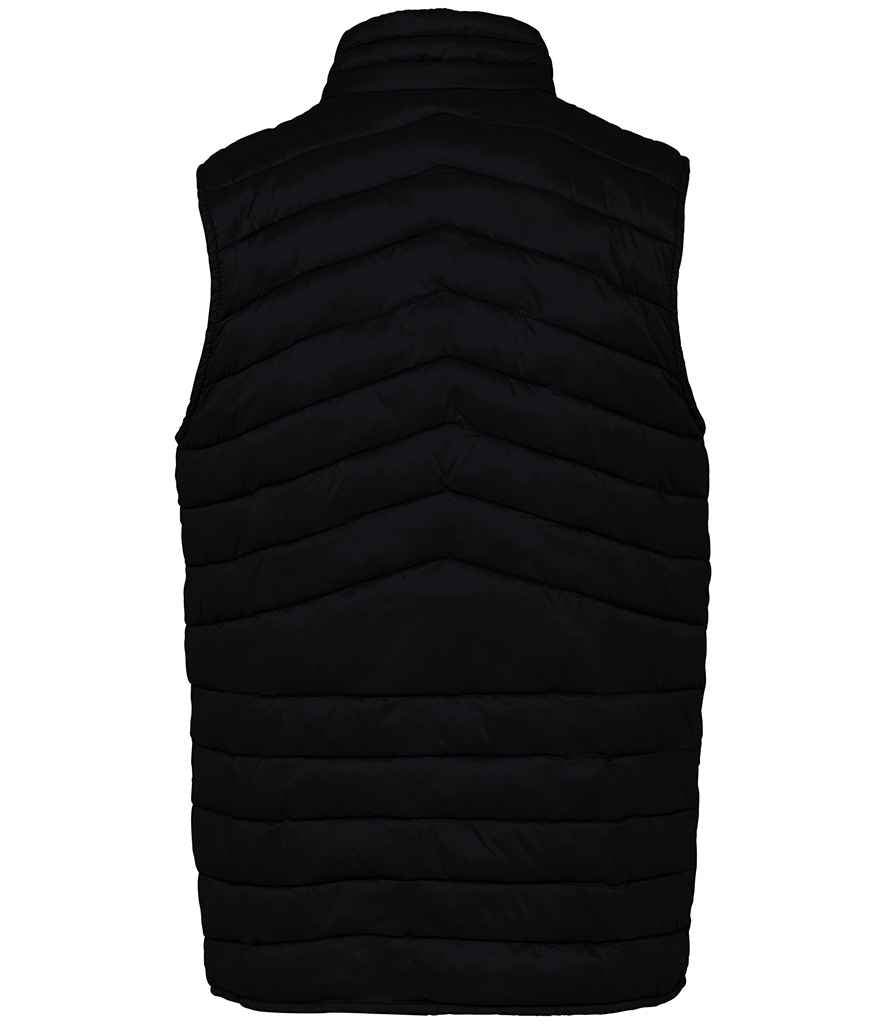 Native Spirit - Light Recycled Bodywarmer - Pierre Francis