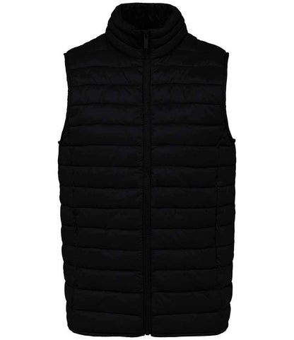 Native Spirit - Light Recycled Bodywarmer - Pierre Francis