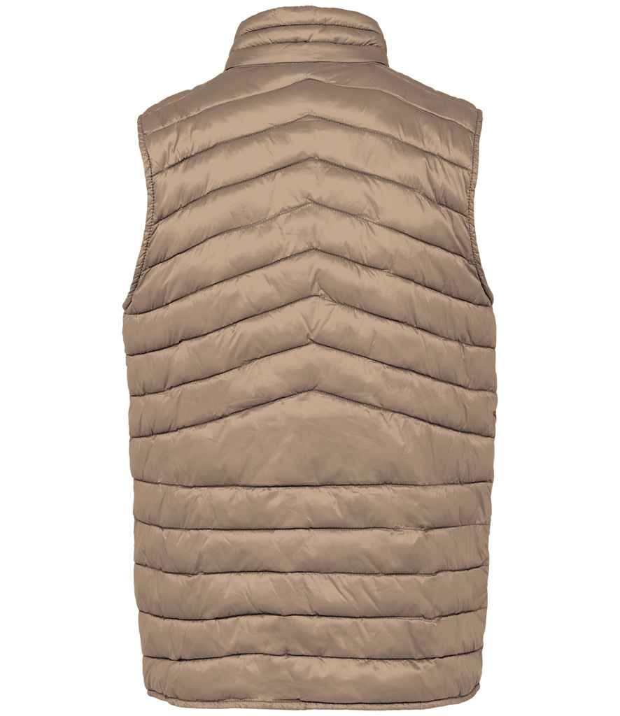 Native Spirit - Light Recycled Bodywarmer - Pierre Francis
