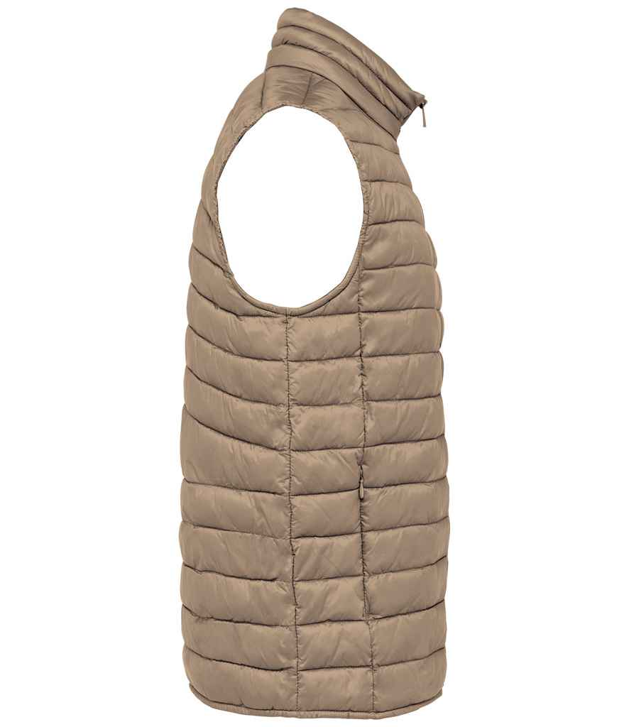 Native Spirit - Light Recycled Bodywarmer - Pierre Francis