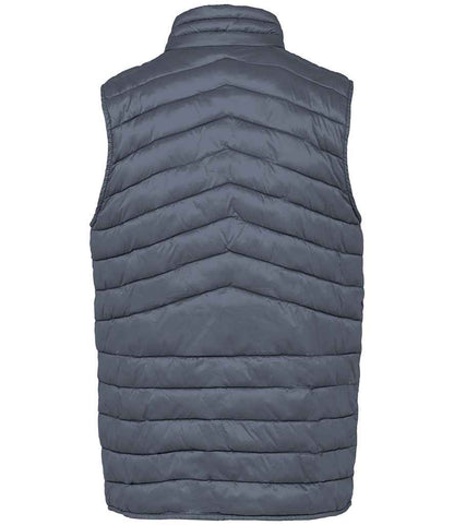 Native Spirit - Light Recycled Bodywarmer - Pierre Francis