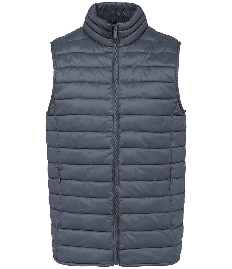 Native Spirit - Light Recycled Bodywarmer - Pierre Francis