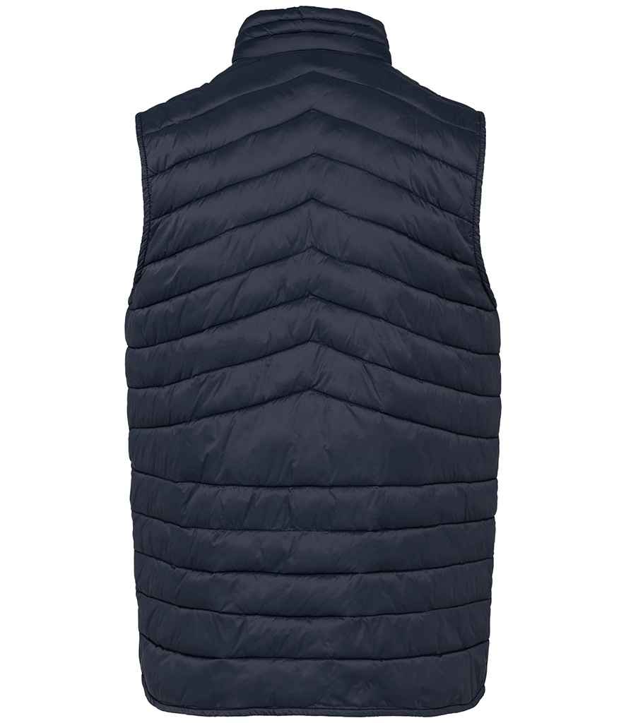 Native Spirit - Light Recycled Bodywarmer - Pierre Francis