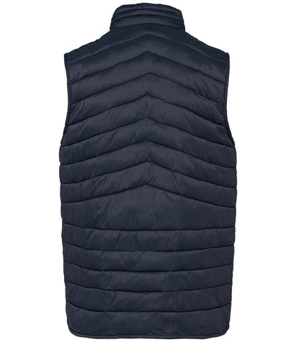 Native Spirit - Light Recycled Bodywarmer - Pierre Francis