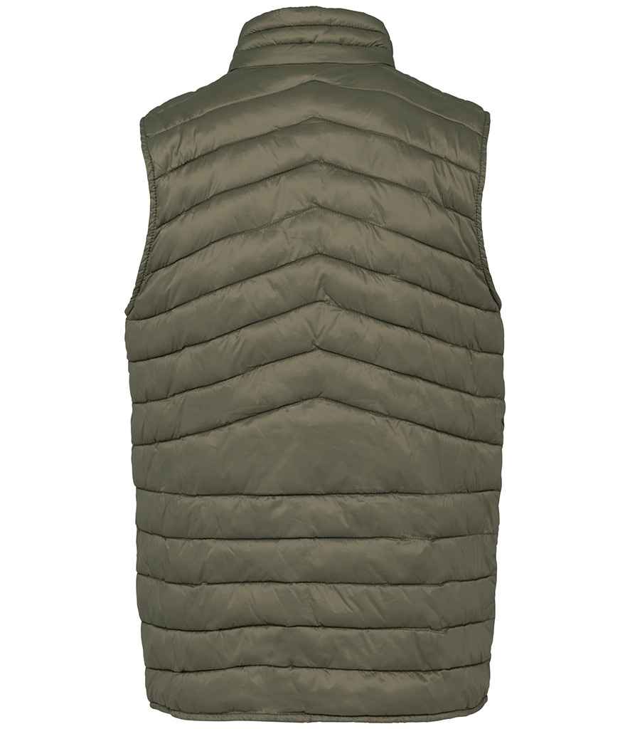 Native Spirit - Light Recycled Bodywarmer - Pierre Francis