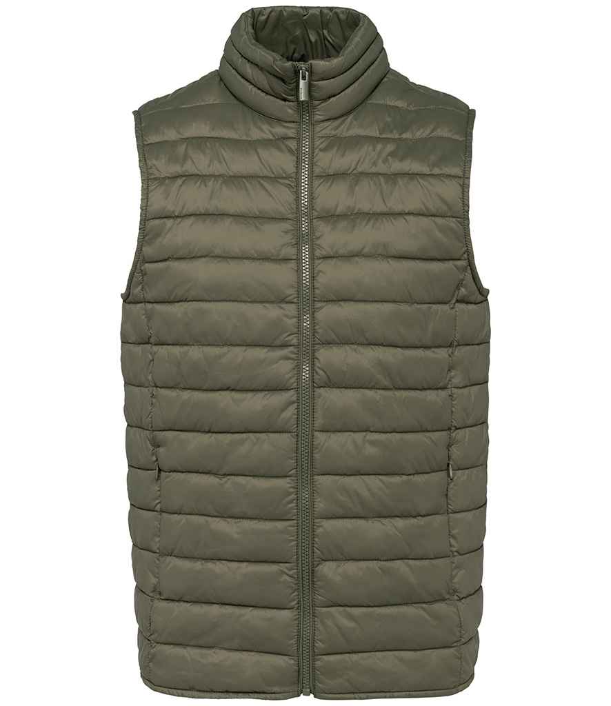 Native Spirit - Light Recycled Bodywarmer - Pierre Francis