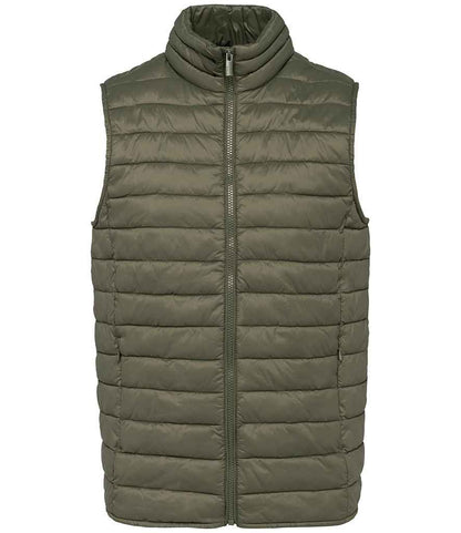 Native Spirit - Light Recycled Bodywarmer - Pierre Francis