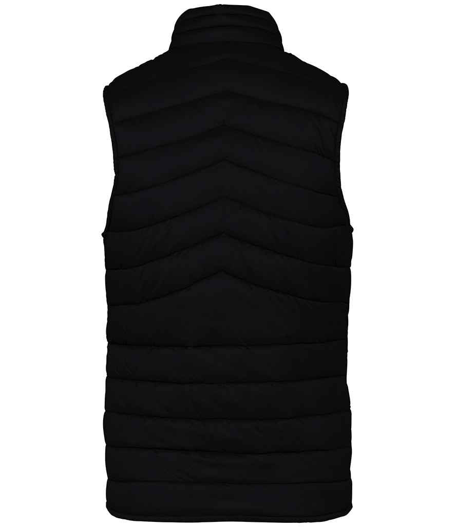 Native Spirit - Ladies Light Recycled Bodywarmer - Pierre Francis