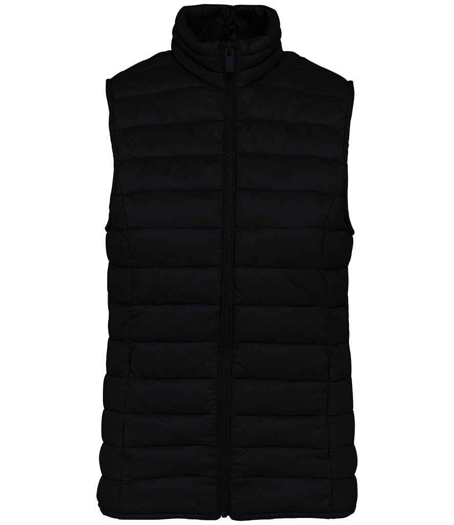 Native Spirit - Ladies Light Recycled Bodywarmer - Pierre Francis
