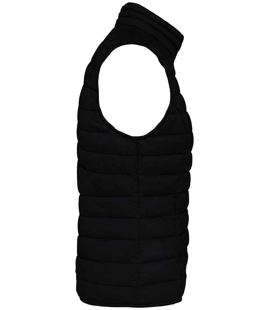 Native Spirit - Ladies Light Recycled Bodywarmer - Pierre Francis