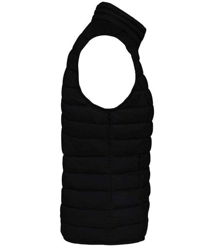 Native Spirit - Ladies Light Recycled Bodywarmer - Pierre Francis