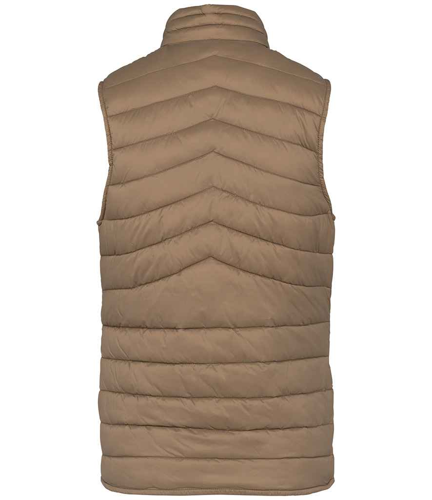 Native Spirit - Ladies Light Recycled Bodywarmer - Pierre Francis