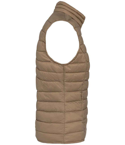 Native Spirit - Ladies Light Recycled Bodywarmer - Pierre Francis