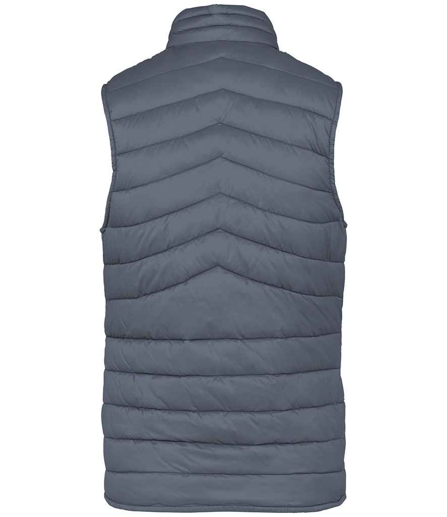 Native Spirit - Ladies Light Recycled Bodywarmer - Pierre Francis