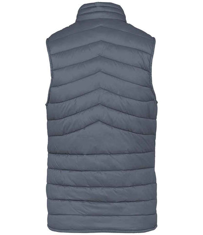 Native Spirit - Ladies Light Recycled Bodywarmer - Pierre Francis