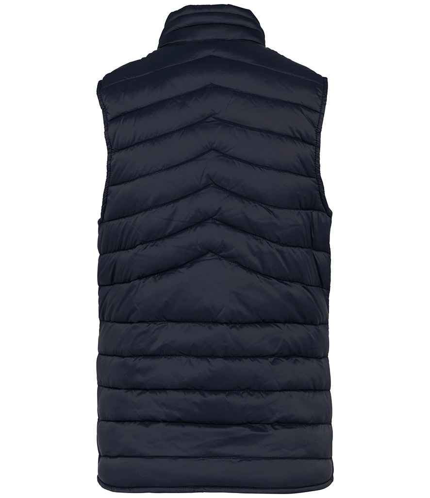 Native Spirit - Ladies Light Recycled Bodywarmer - Pierre Francis